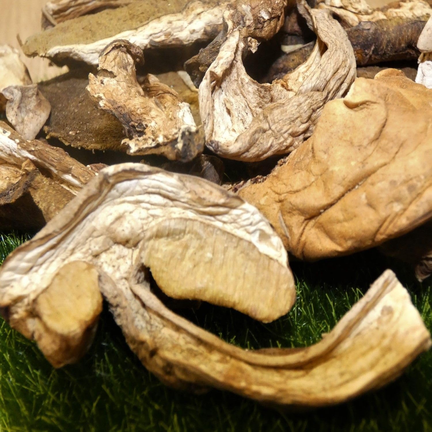 Lote de 6 cepas clase – maceta de 100 g