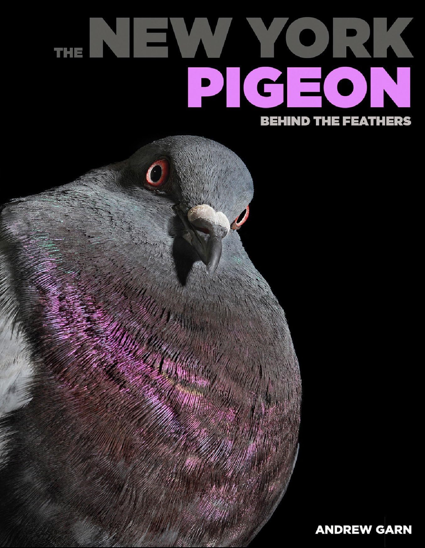The New York Pigeon: Behind the Feathers Hardcover – April 10, 2018