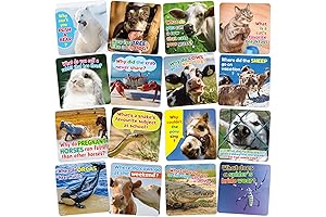 Fancy Land 80Pcs Lunchbox Joke Cards