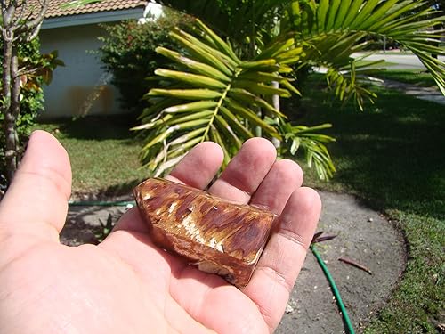 Miniatura 4 de Mama0820 Cuarzo de punto de pie marrón ahumado, Gema, Punto de pie marrón ahumado creado