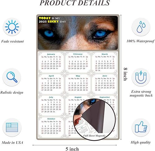 Miniatura 5 de Calendario magnético 2024  Imanes del calendario  Today is my Lucky Day  Resistente a la decoloración, desgarros y agua  Temático de perros 03 (5.25