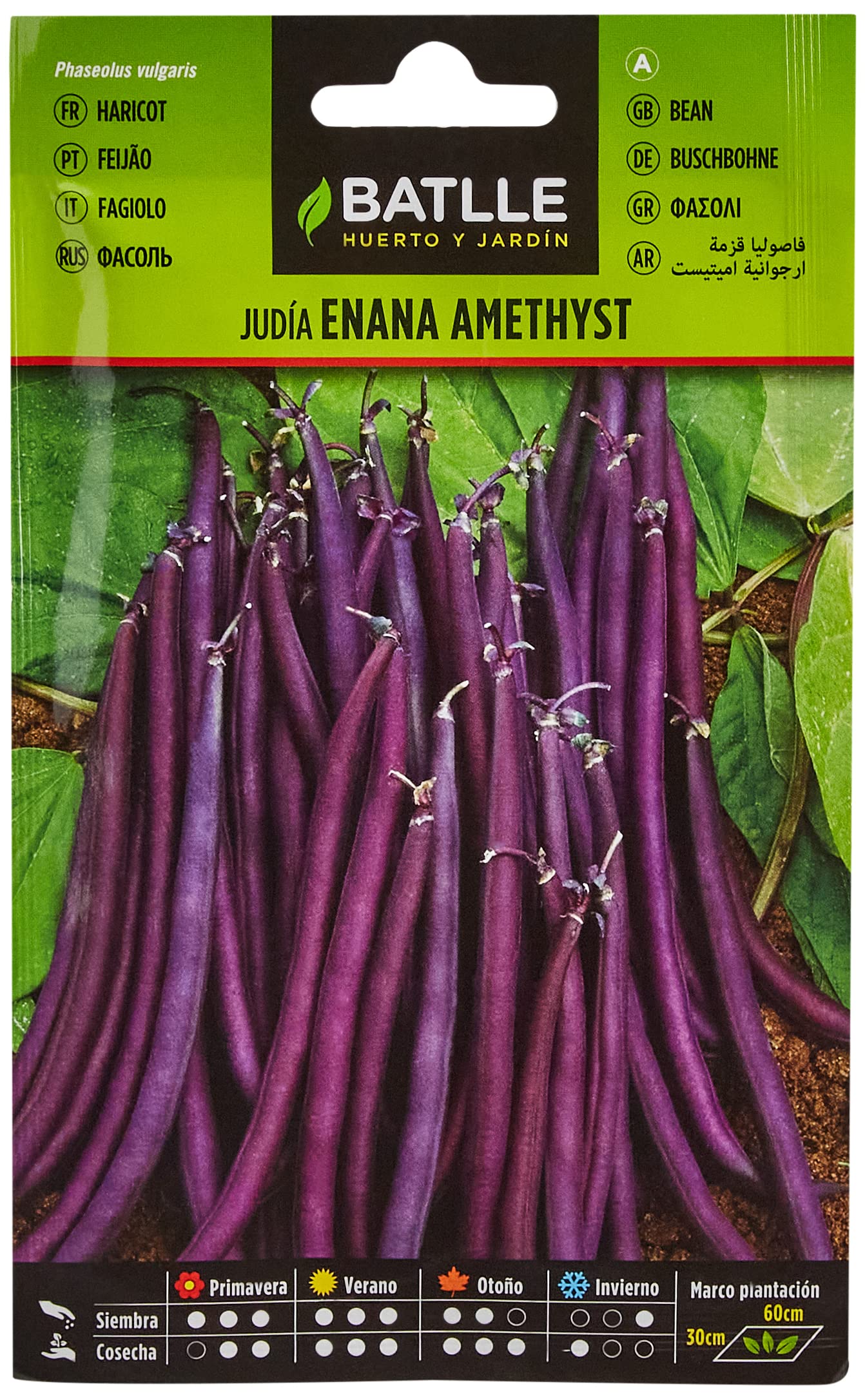 Semillas Batlle Judia Enana Violeta AMETHYST