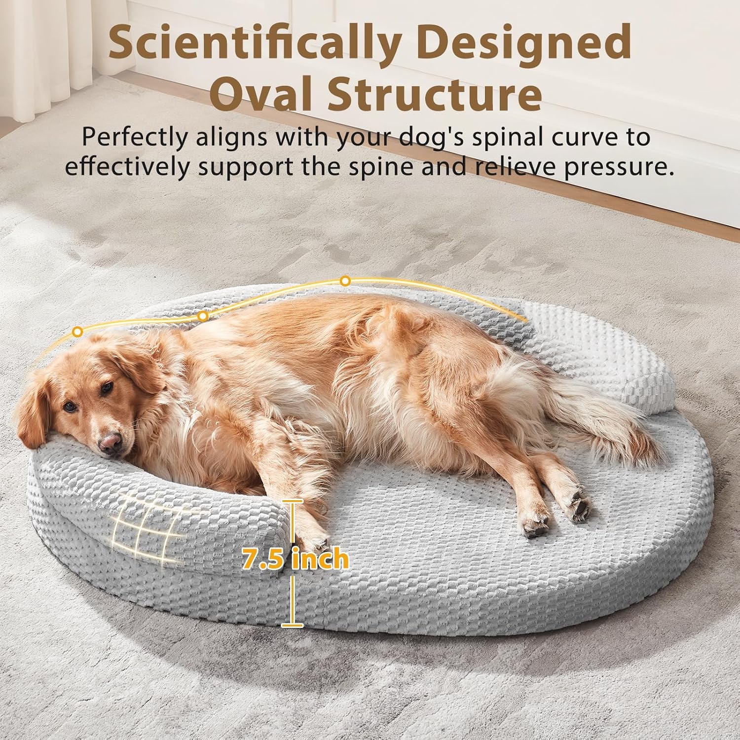 JOEJOY Orthopedic Dog Beds Large Sized Dog, Washable Waterproof Oval Large Dog Bed with Removable Cover, Big Egg-Crate Memory Foam Pet Bed with Bolster Sides & Non-Skid Bottom, Light Grey, 36''x27''
