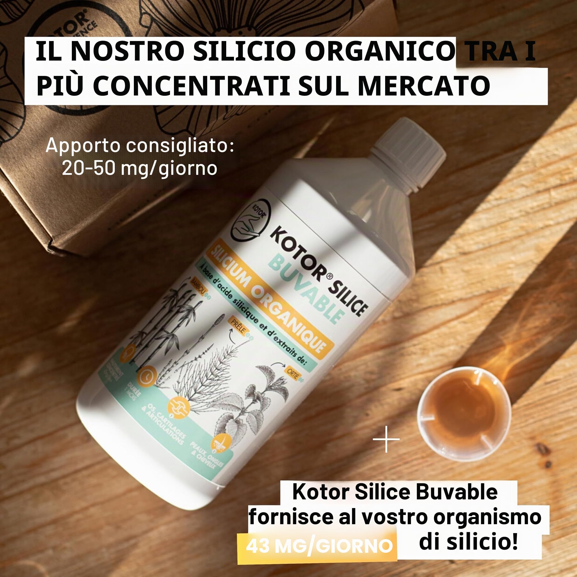 KOTOR SILICE BUVABLE 1L | Silicium Organique Francais & Naturel | Fortement Dosé | Santé des Articulations, Cartilages, Os, Peau, Cheveux, Ongles | Silicium + Ortie + Prêle + Bambou | 1 mois