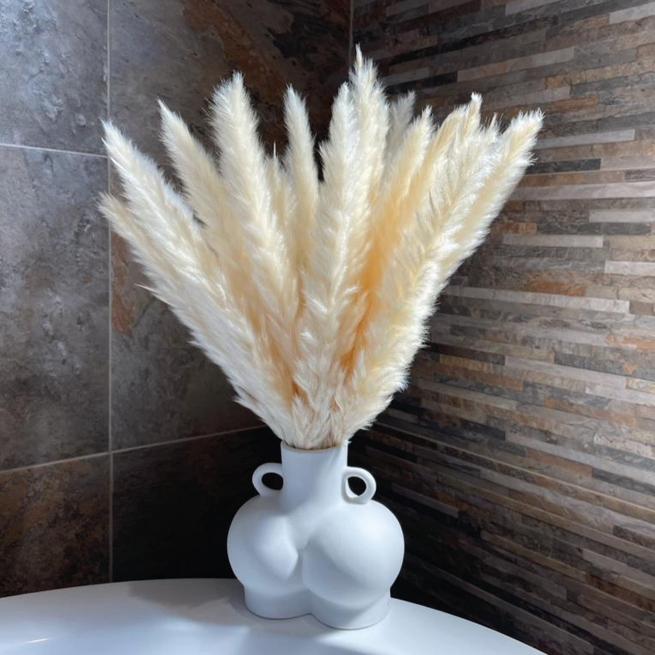 Antheia Interior Pampas Grass Decor - 45pcs Golden White Pampas Grass with Bunny Tails | Gorgeous 40cm Small Pampas Grass White For Dried Flowers Bouquet | Dried Pampas Grass with FREE E-Magazine