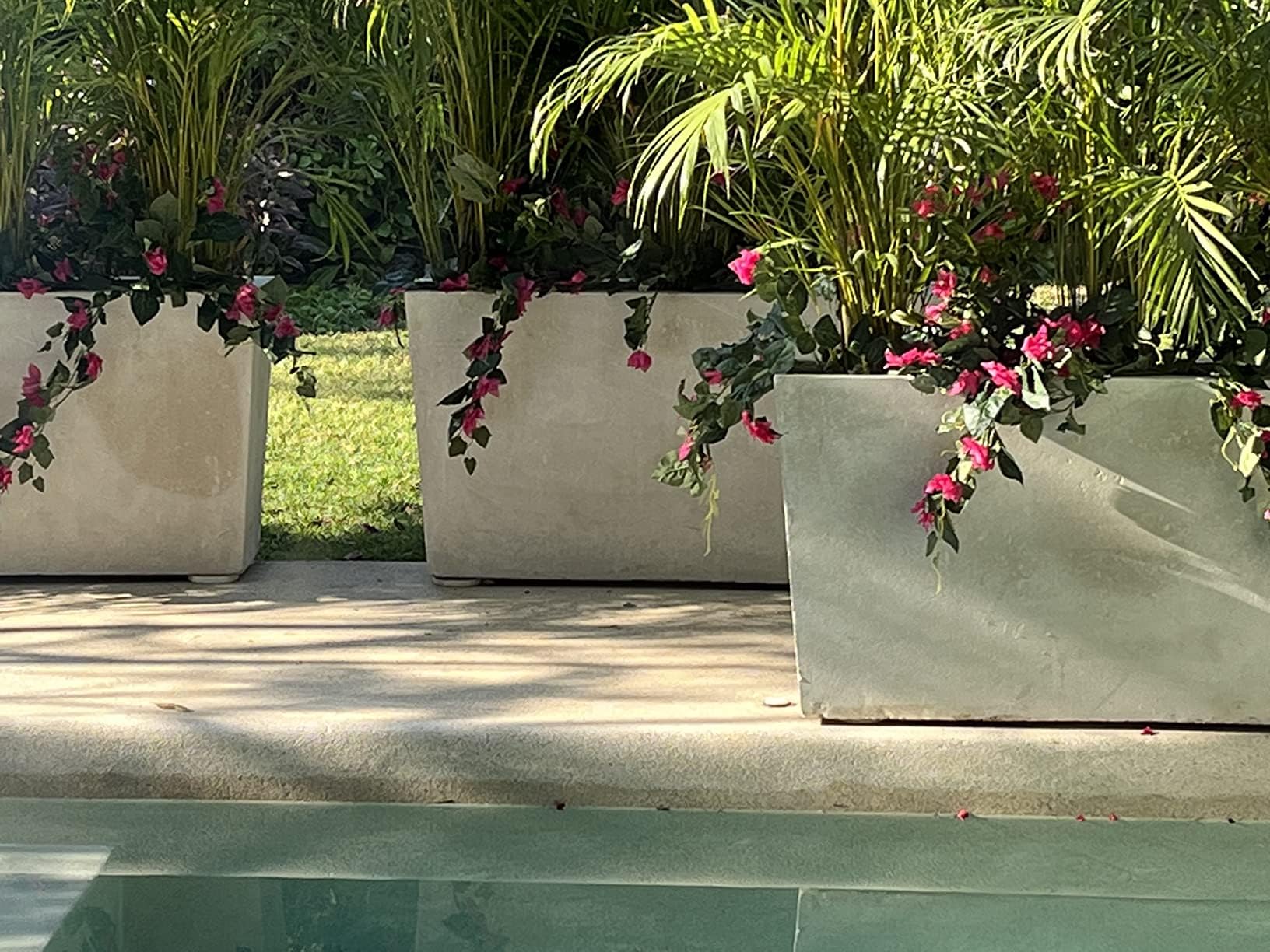 Planta de Vid de buganvilla de Seda, Flores Artificiales en Cascada de 34 Pulgadas, 2 Unidades (Magenta)