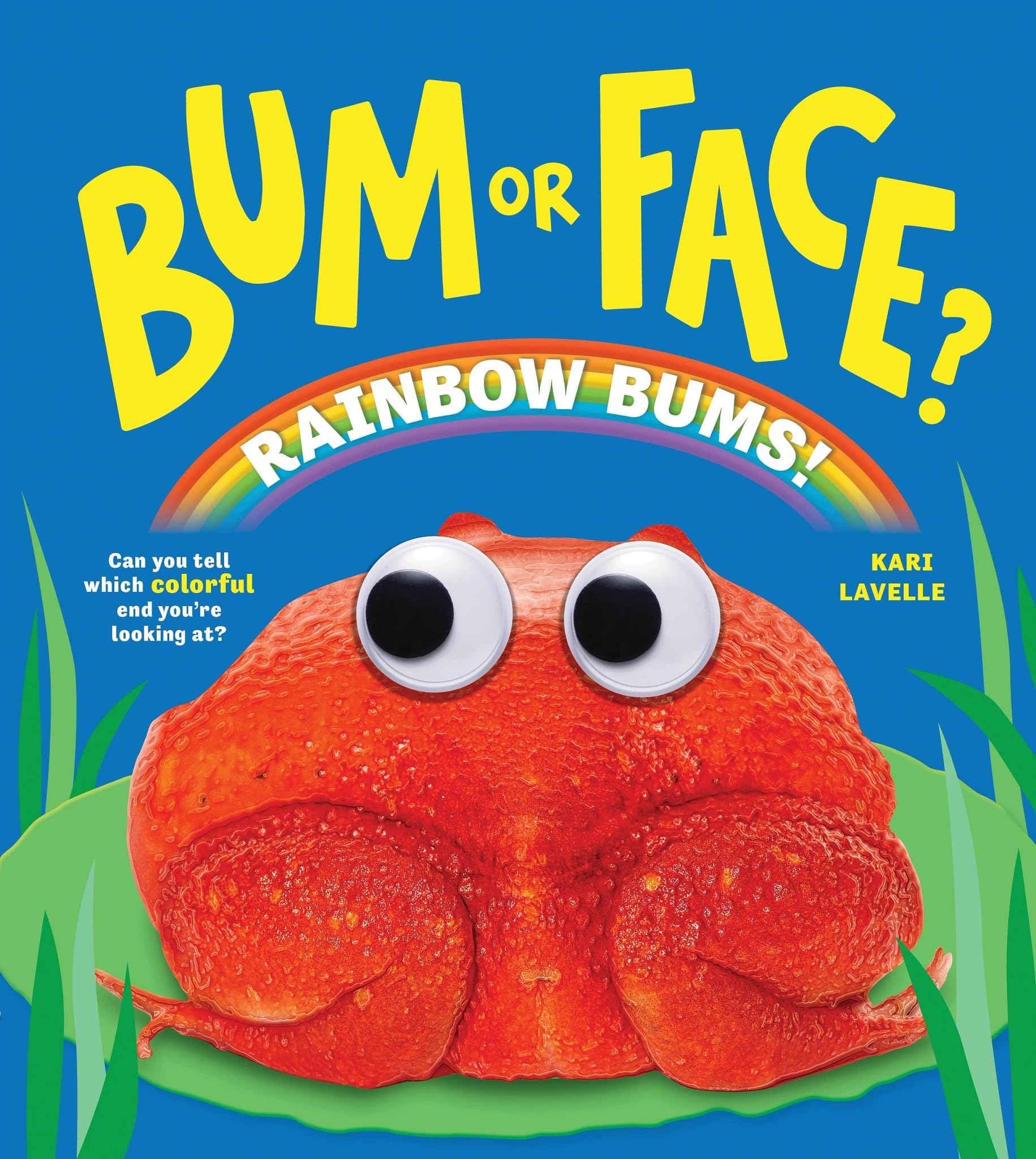 Bum or Face? Rainbow Bums: The Hilarious Animal Guessing Game Book for Kids (Bum or Face Book 5)