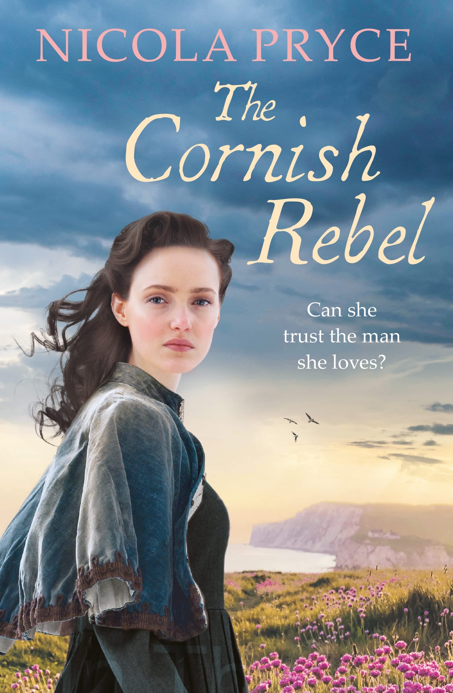 The Cornish Rebel: Volume 7 (Cornish Saga)