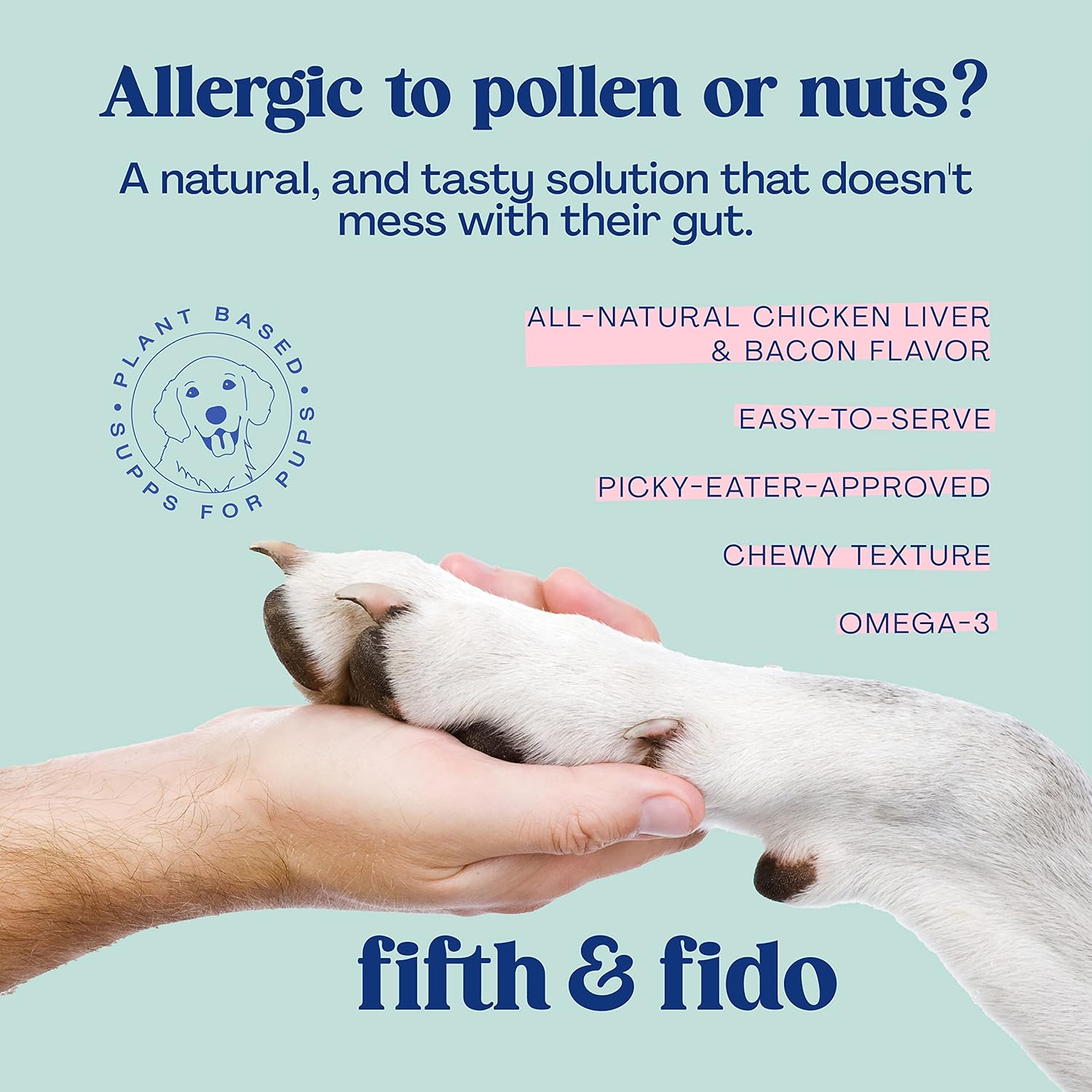 Buy Fifth & Fido Anti Itch for Dogs Dog Allergy Chews, Dog Allergy