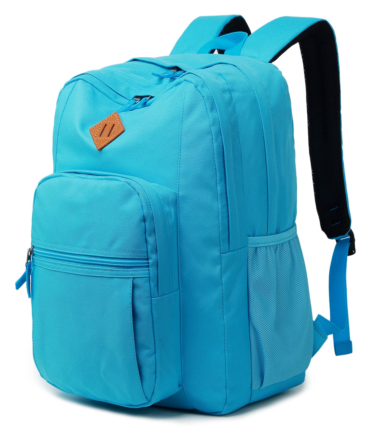 abshoo Classical Basic Womens Travel Backpack For College Men Water Resistant Bookbag (PowDerBlue) Powderblue 16.5 Inc