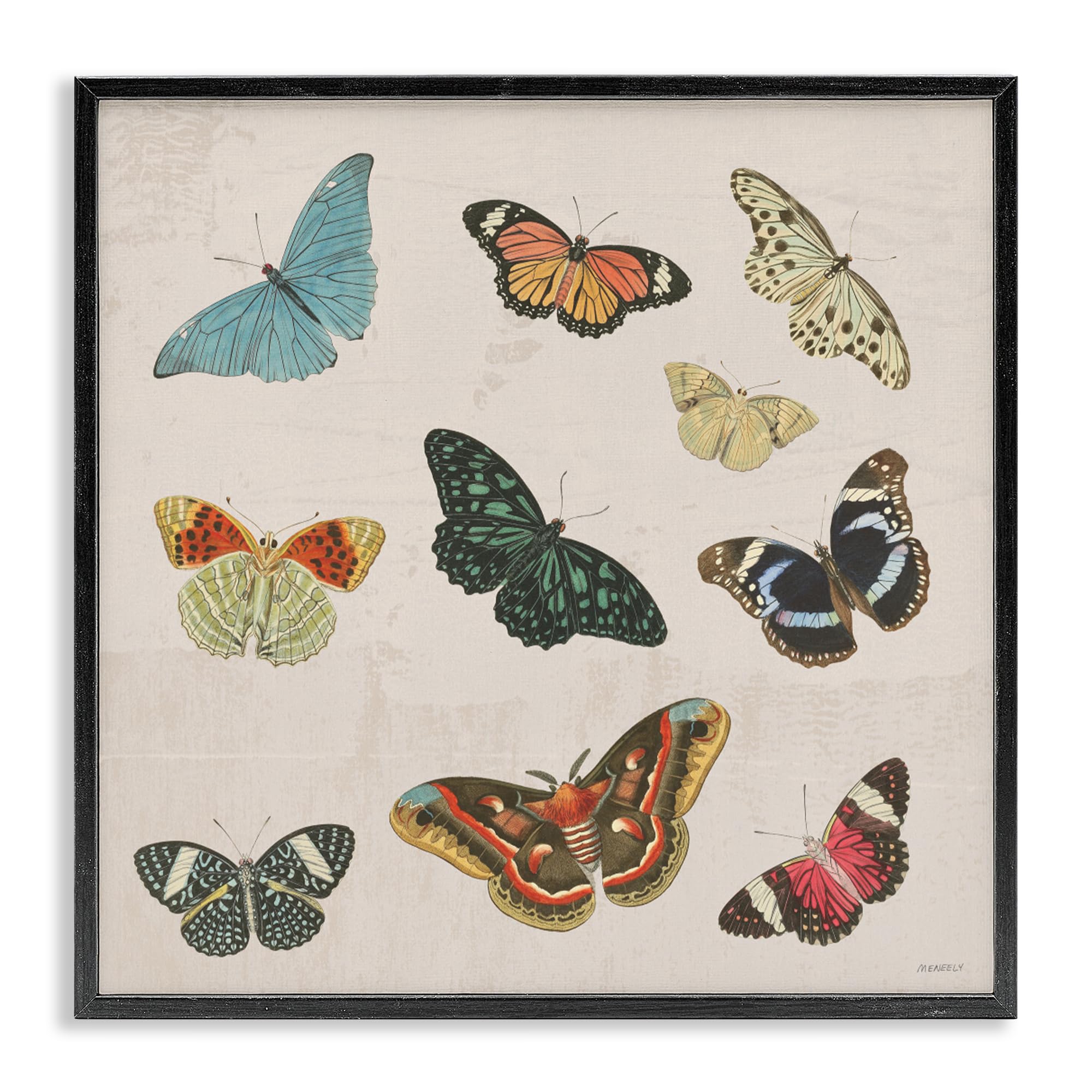 Poster encadré papillon vintage cadre noir 43,2 cm déco murale salon