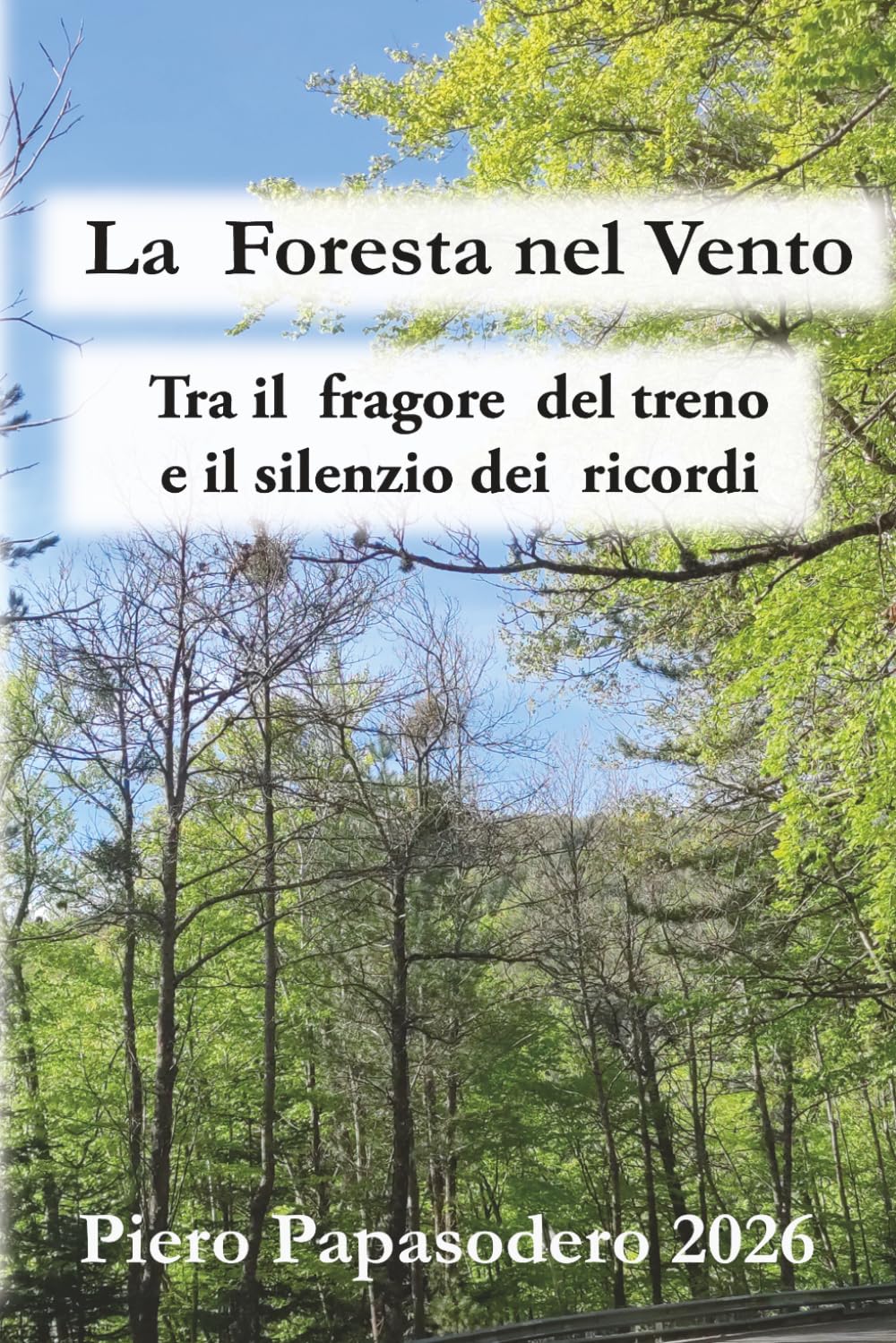 la foresta nel vento: il dialogo con il silenzio