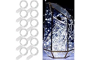 WATERGLIDE 12 Pack Battery Operated Fairy String Lights