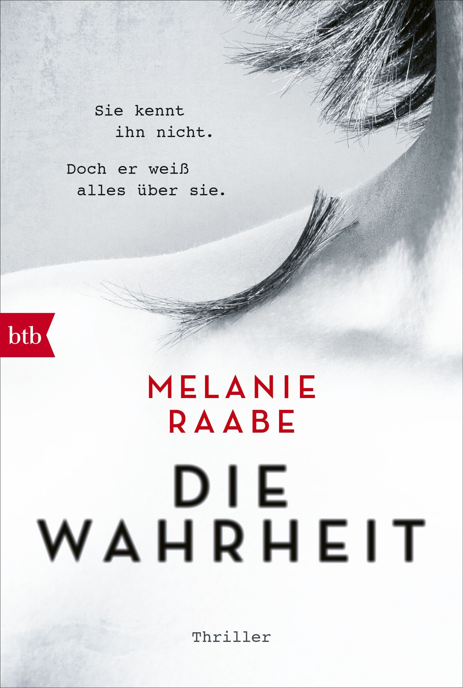 Die Wahrheit: Thriller
