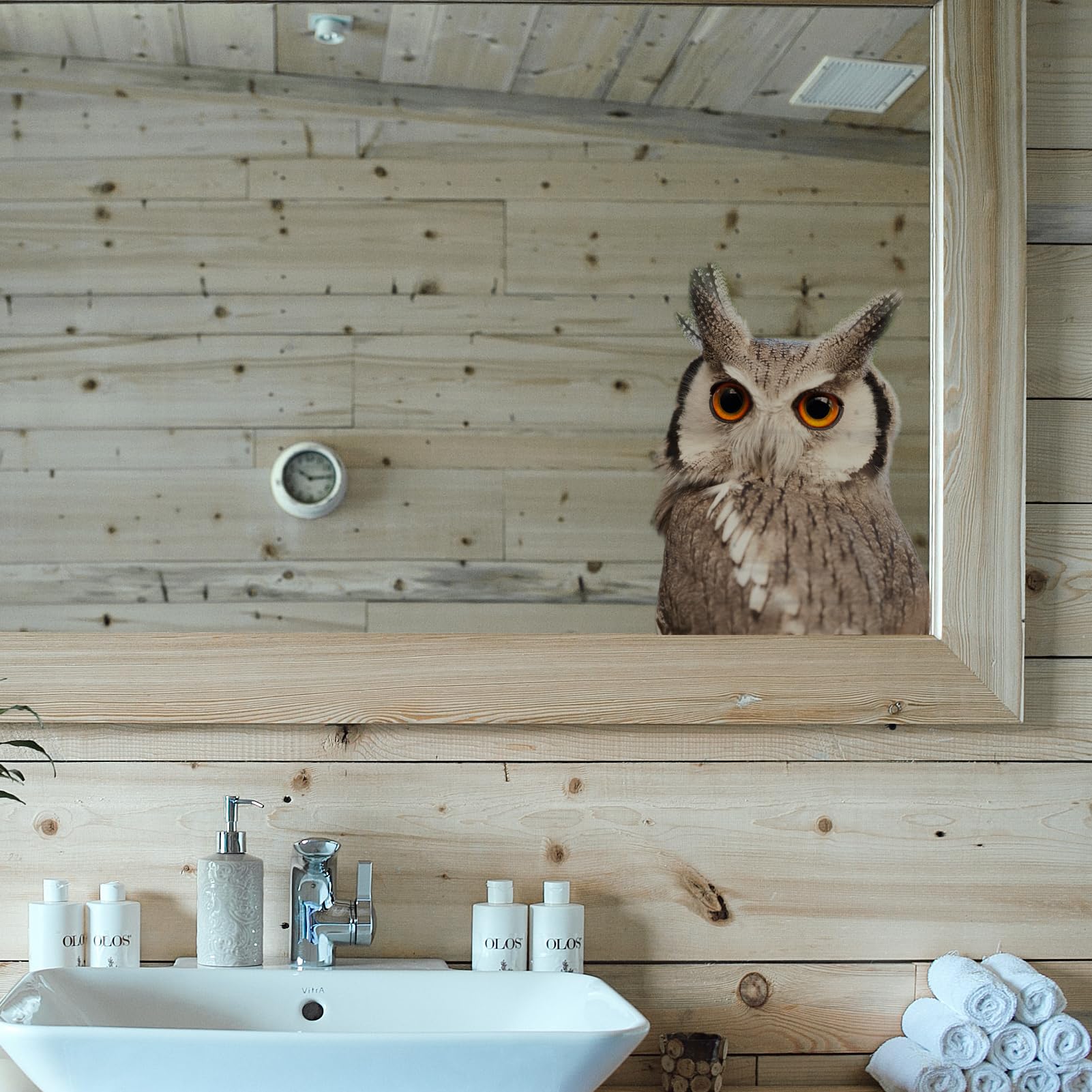 ROLY BEE 3 Pieces 3D Windows Stickers Realistic owl Gaze Stickers/Decals