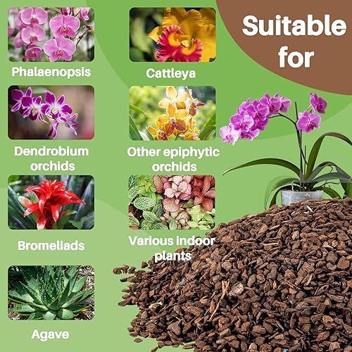Miniatura 4 de Sukh Tierra de siembra de corteza de orquídea, mezcla para macetas de orquídeas de 0.23 a 0.39 pulgadas, mantillo de ciprés hortícola, sequía,