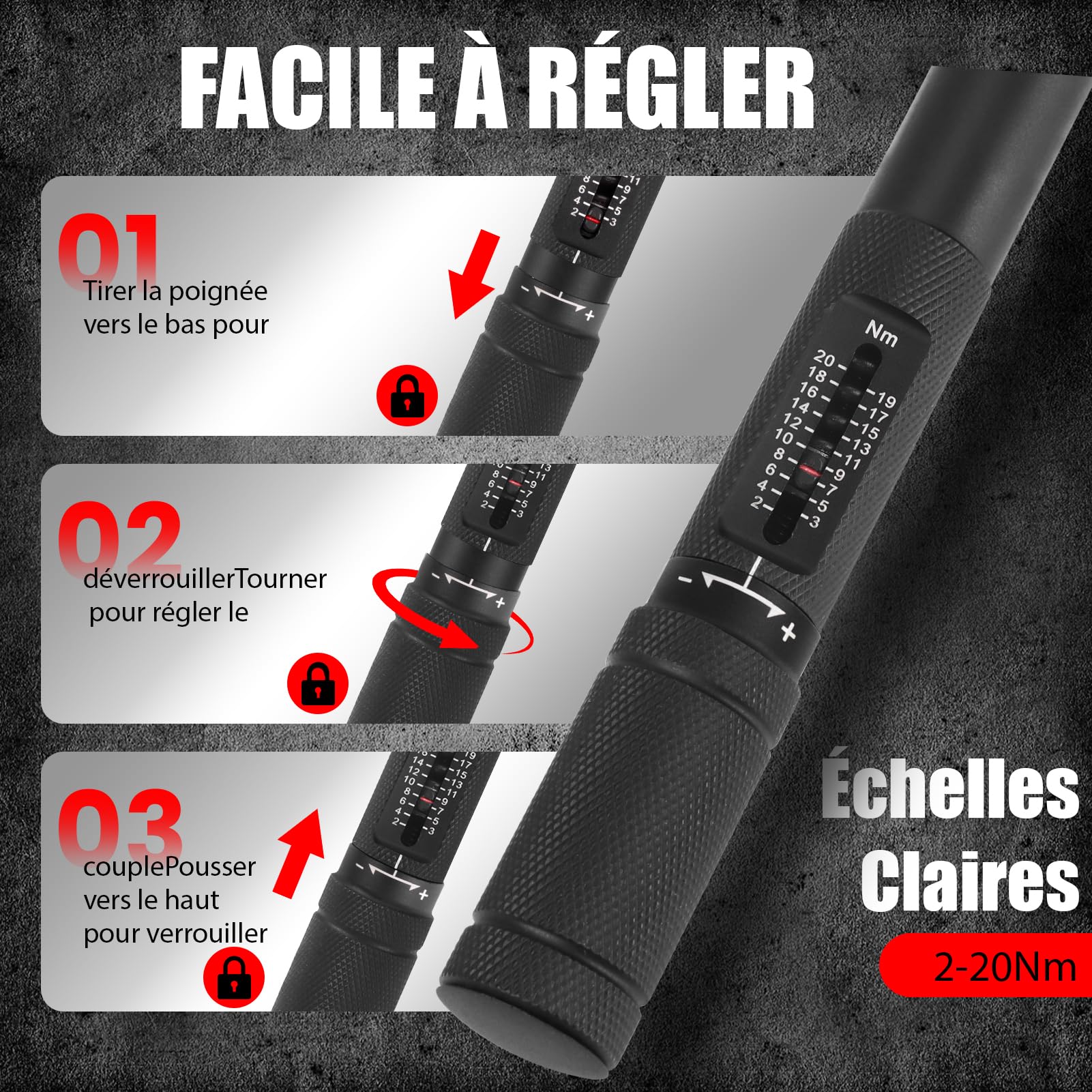 1/4 Clé Dynamométrique 2-20NM de Precision avec 20 Pièces Embouts H,SL,T,PH,PZ Bit pour vélo