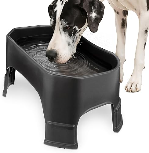 Miniatura 11 de Neater Pet Brands Cuenco de agua extragrande para perros, cuenco elevado para agua para perros al aire libre (capacidad XL de 1.25 galones), plato