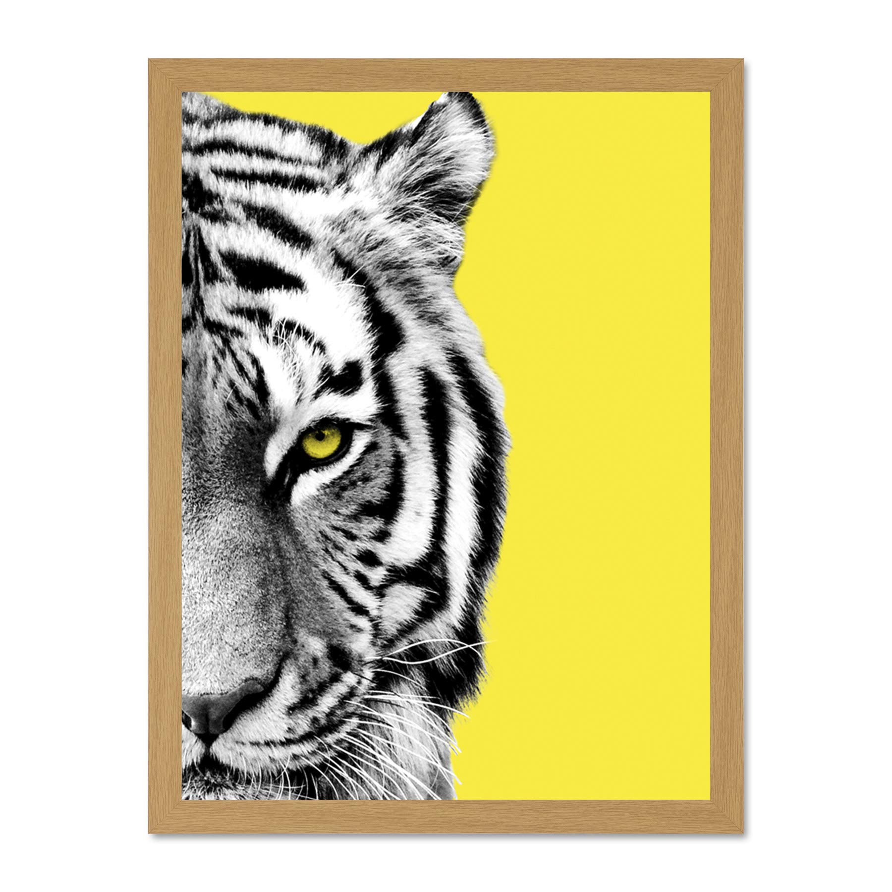 Wee Blue Coo Close up Beasties Tiger Large Framed Art Print Wall Poster 18x24 inch