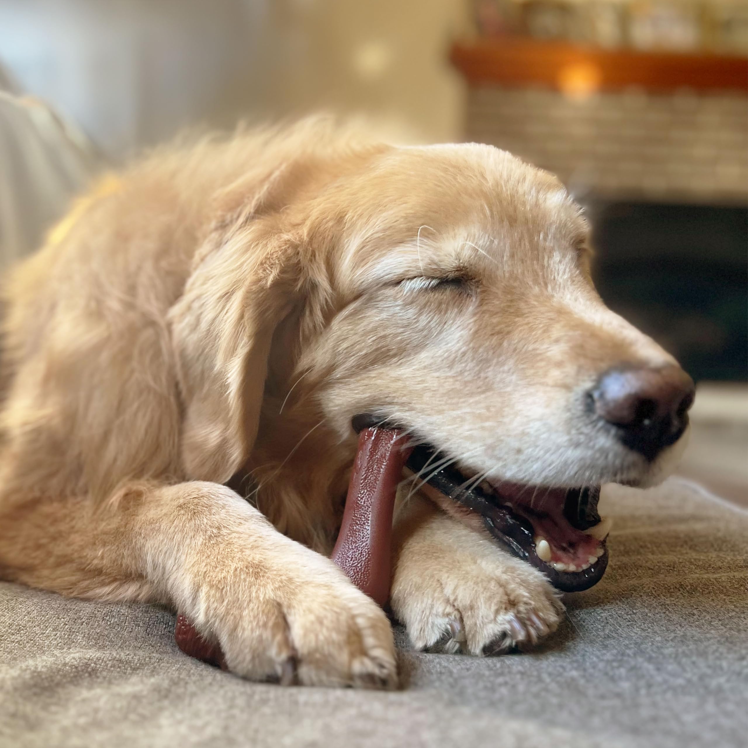 Nylabone Power Chew Elchknochen Alternative Kauspielzeug für Hunde – Hundespielzeug für Aggressive Kauer – Wildfilet, X-Large/Souper (1 Stück)
