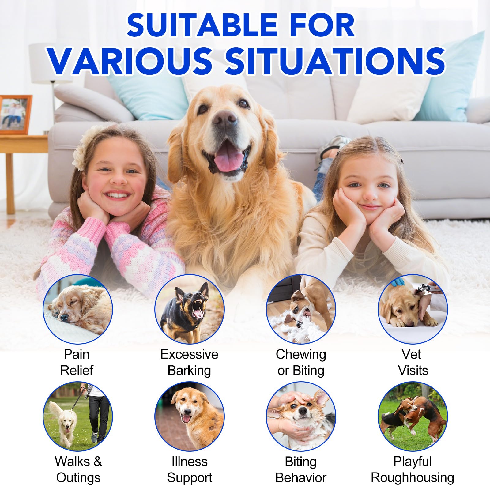 CLFJLXYX Calming Dog Treats That Work, blue - Image 4