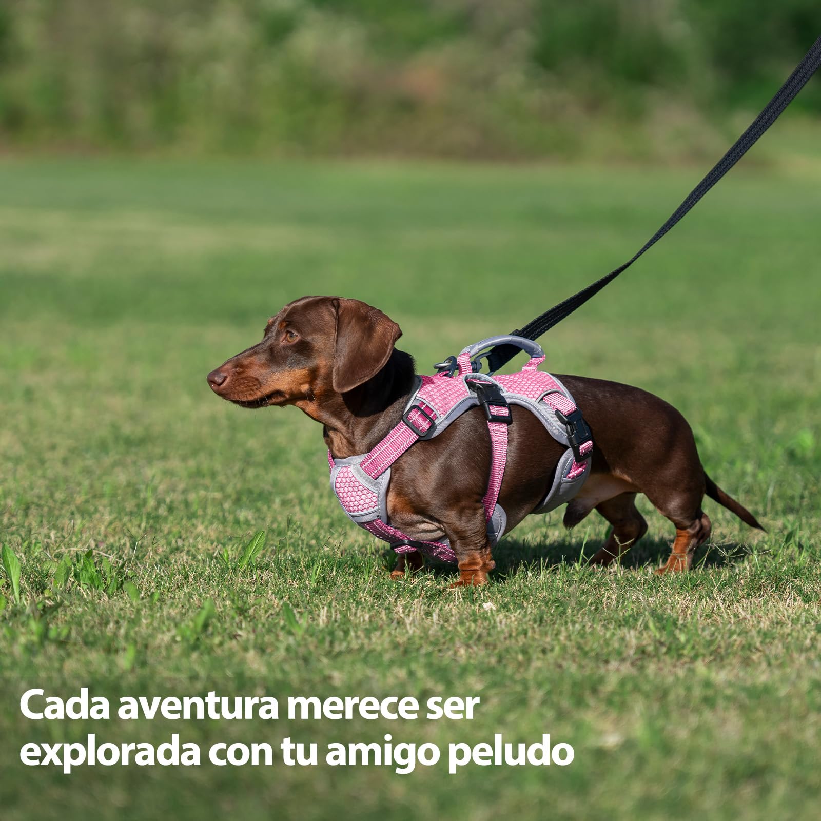 Huntboo Arnes Perro Pequeño Mediano Grande, Arnes Antiescape Perro, Arnés Reflectante para Perros con Asa, Reflectante, Chaleco Ajustable para Caminar, Equipamiento Correr(Rosa,L)