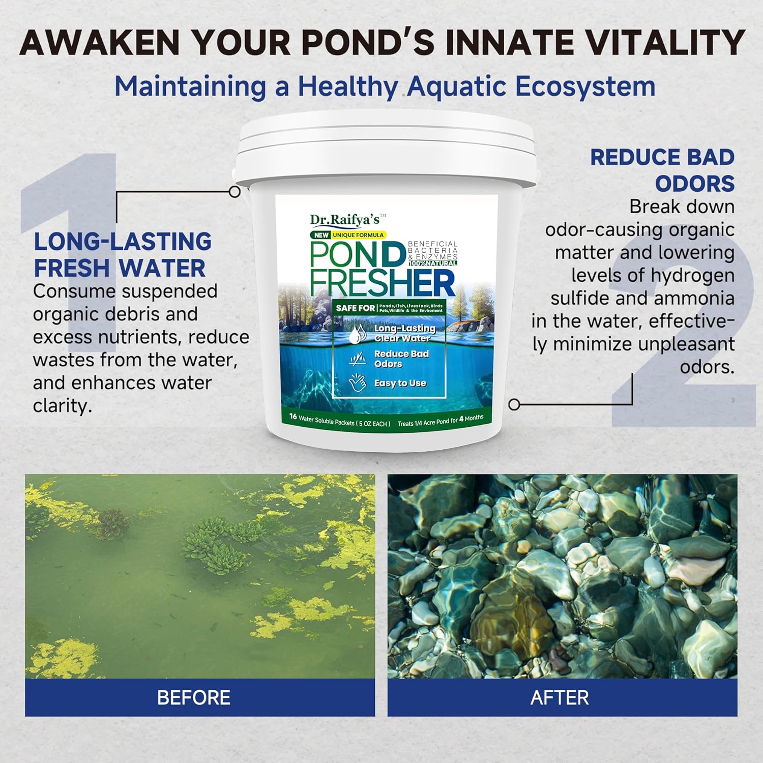 Dr. Raifya's Pond Fresher - 16 Packets - Pond Water Treatment for Outdoor Areas, Long-Lasting Clean Water & Odor with Beneficial Bacteria, Easy to Use, Fish, Pets & Plants Safe 5 LB