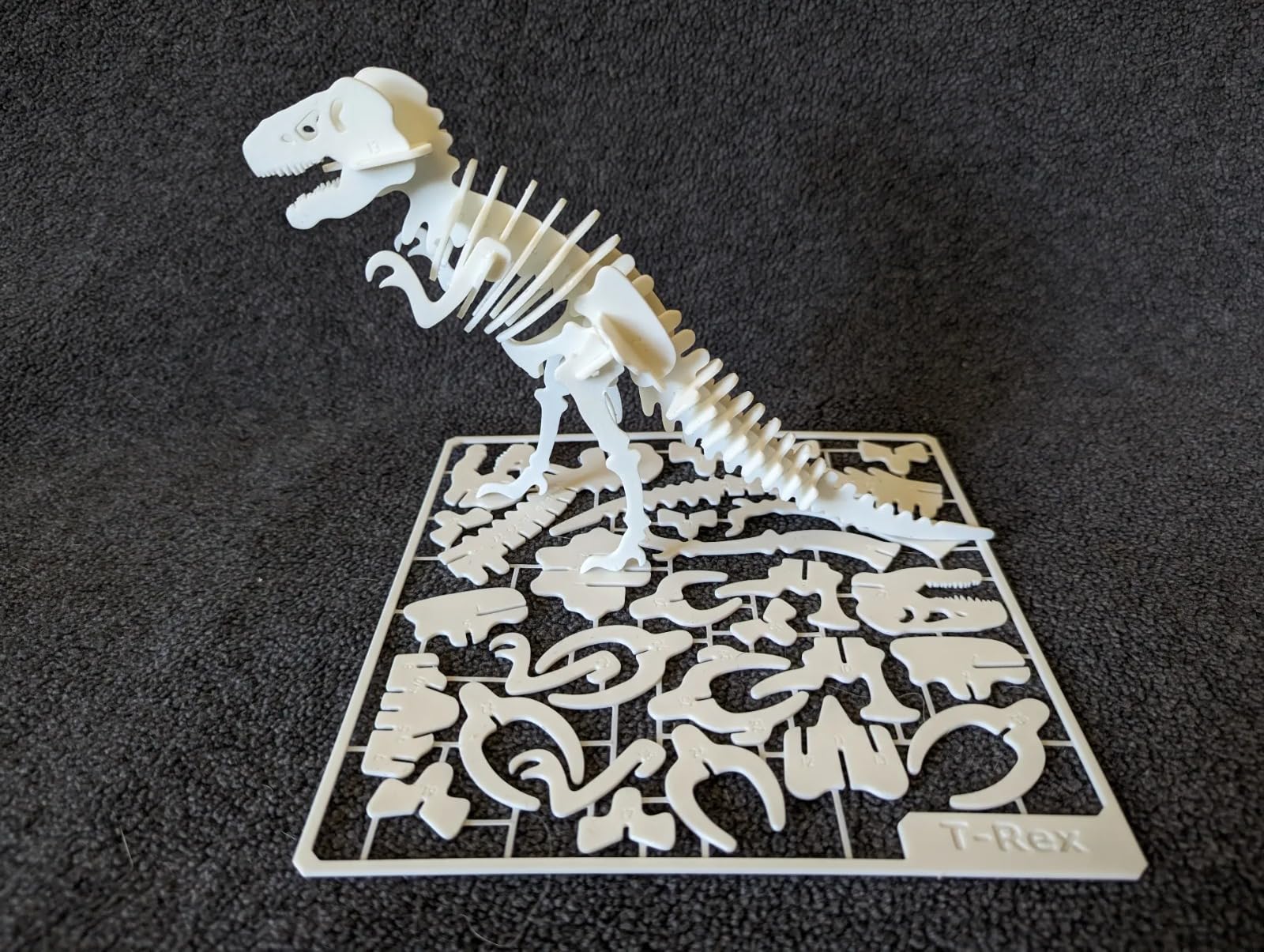 Beoals 3D Puzzle Dinosaur Skeleton Model Kit, White, Educational Assembly Toy 2