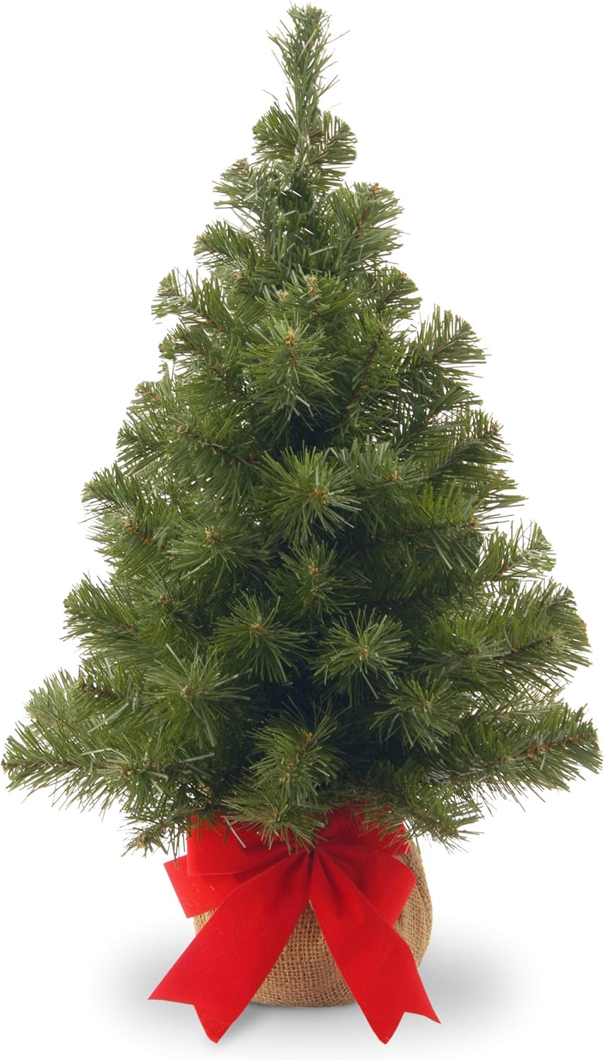 National Tree 2 Foot Noble Spruce Tree with Burlap Bag (NB1-20BP-1)