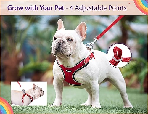 Miniatura 5 de JdotMIN Arnés para perros y gatos arneses para perros y gatos sin tirones pequeño mediano reflectante ajustable arnés para mascotas fácil de caminar
