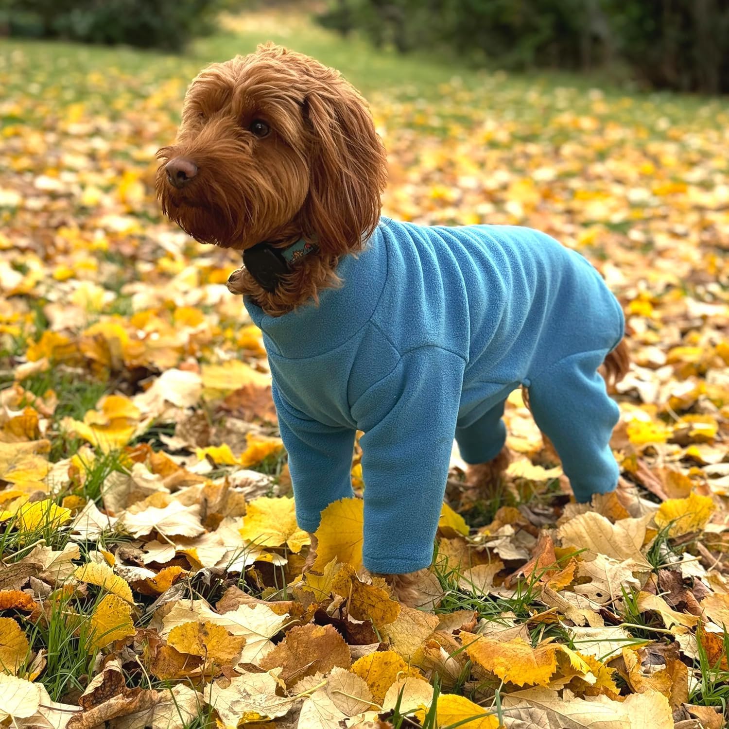 Warm Four-Legged Dog Fleece – Super Soft, Weather-Resistant (Teal, XXL)