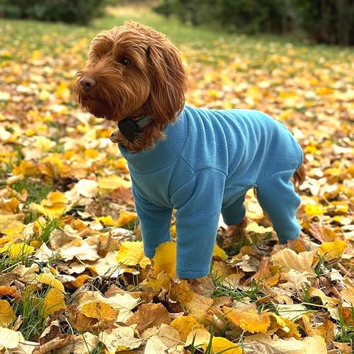 Forro polar cálido para perro, disponible en cinco tamaños y tres colores (verde azulado, XXL (cuatro patas))