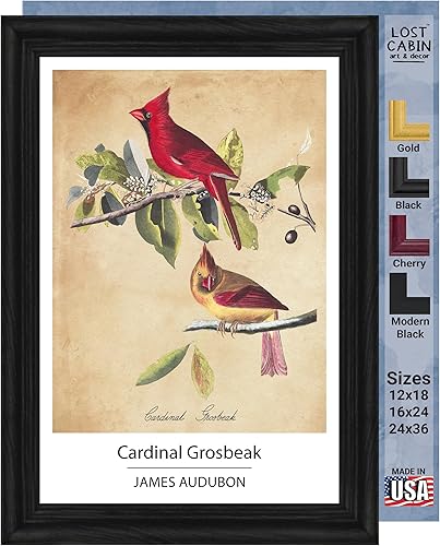 Vista 138 de Towee Bunting by James Audubon - Marco biselado negro de 12 x 16 pulgadas, decoración artística enmarcada para pared, reproducción de pinturas