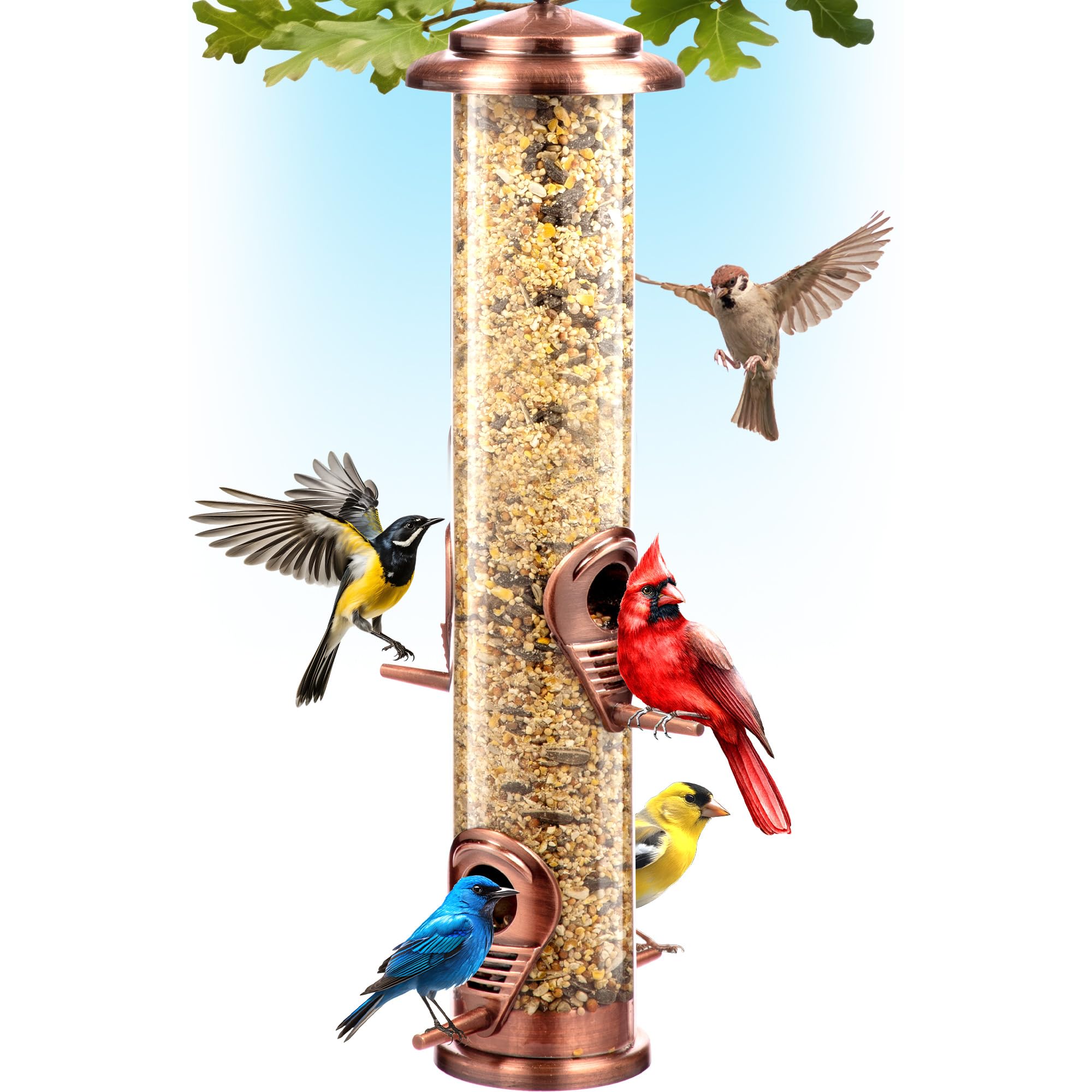 Squirrel Proof Bird Feeders for Outdoors Hanging (Premium Metal) 1.25 lb Capacity, Chew & Rust Proof