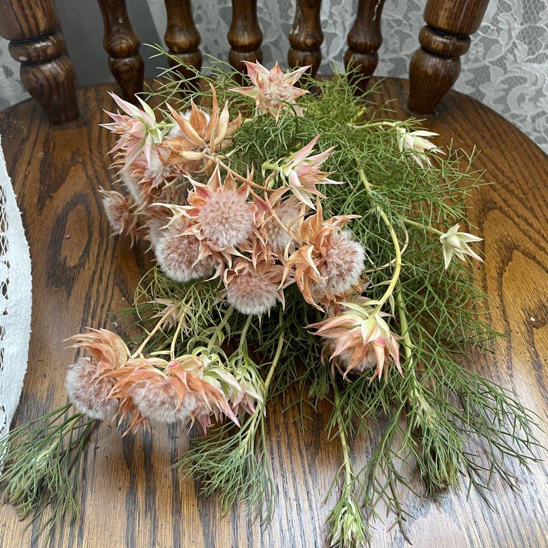 セルリアやローズヒップを秋色をシックに束ねた スワッグ ドライ