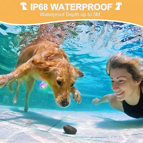 Miniatura 3 de Luz para collar de perro, 4 modos de luces de perro para caminar por la noche, luz de perro que cambia de color RGB, luces recargables para collar