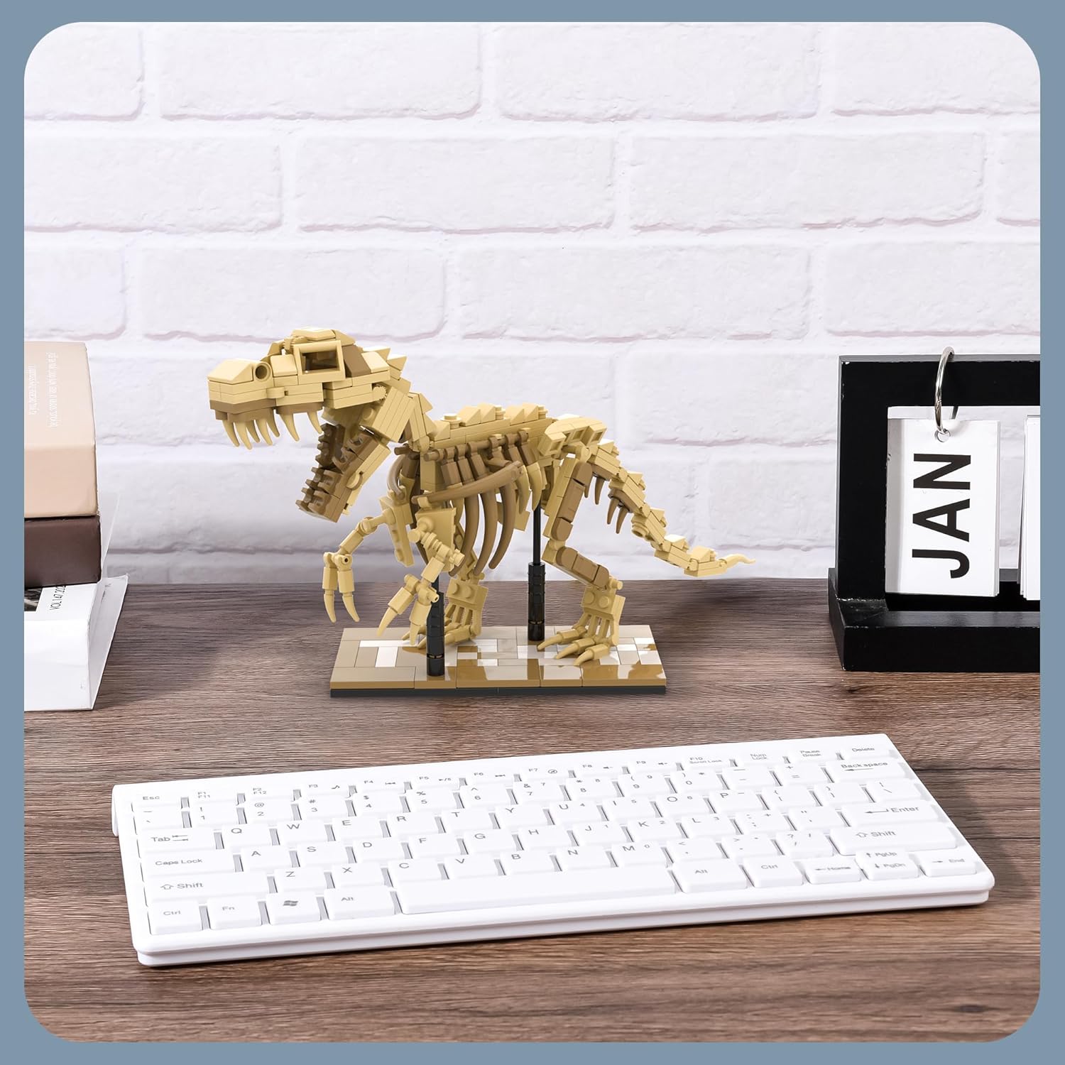 Dinosaur Skeleton Building Kit & Paleontology Building Set-316PCS Excavation-Ready T.Rex Fossil Model, Adult Dinosaur Gift with Movable Joints for Collectors-Display Figures for Home&Office