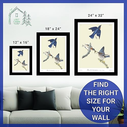 Miniatura 6 de Blue Bird por James Audubon - Póster enmarcado para decoración de pared, pintura de obras de arte finas, pósteres e imágenes, impresiones de galería