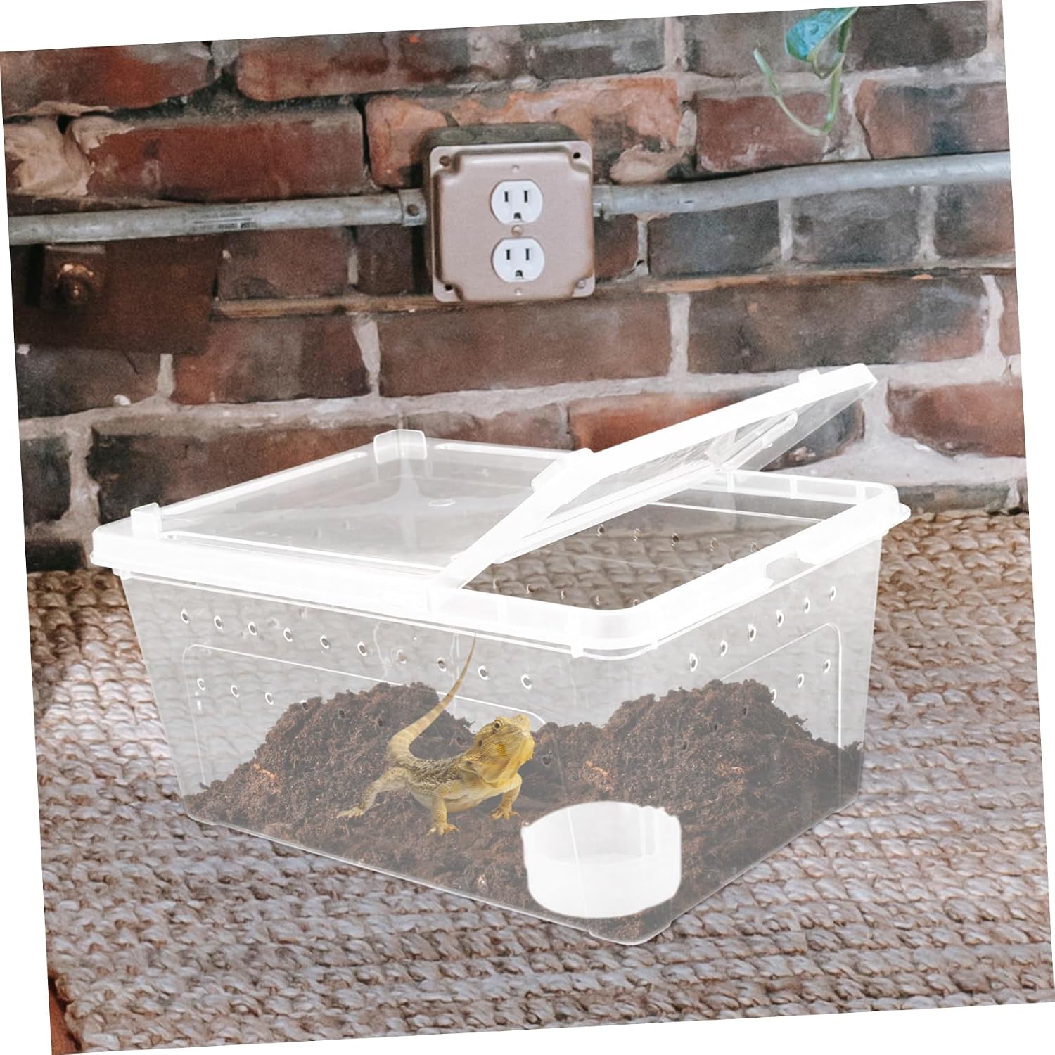 COLLBATH 2-Piece High Transparency Reptile Breeding Box Set Acrylic Reptile Feeding Container for Snakes Lizards and Turtles for PET Rearing and Habitat Maintenance Random Color