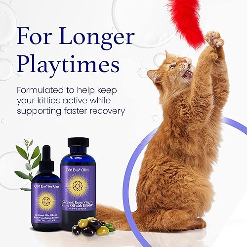 Miniatura 6 de C60 Evo Cat Lover Set, 2 botellas de ESS60 puro en aceite de oliva virgen extra, 1 para humanos y 1 para felinos, suplementos para gatos infundidos