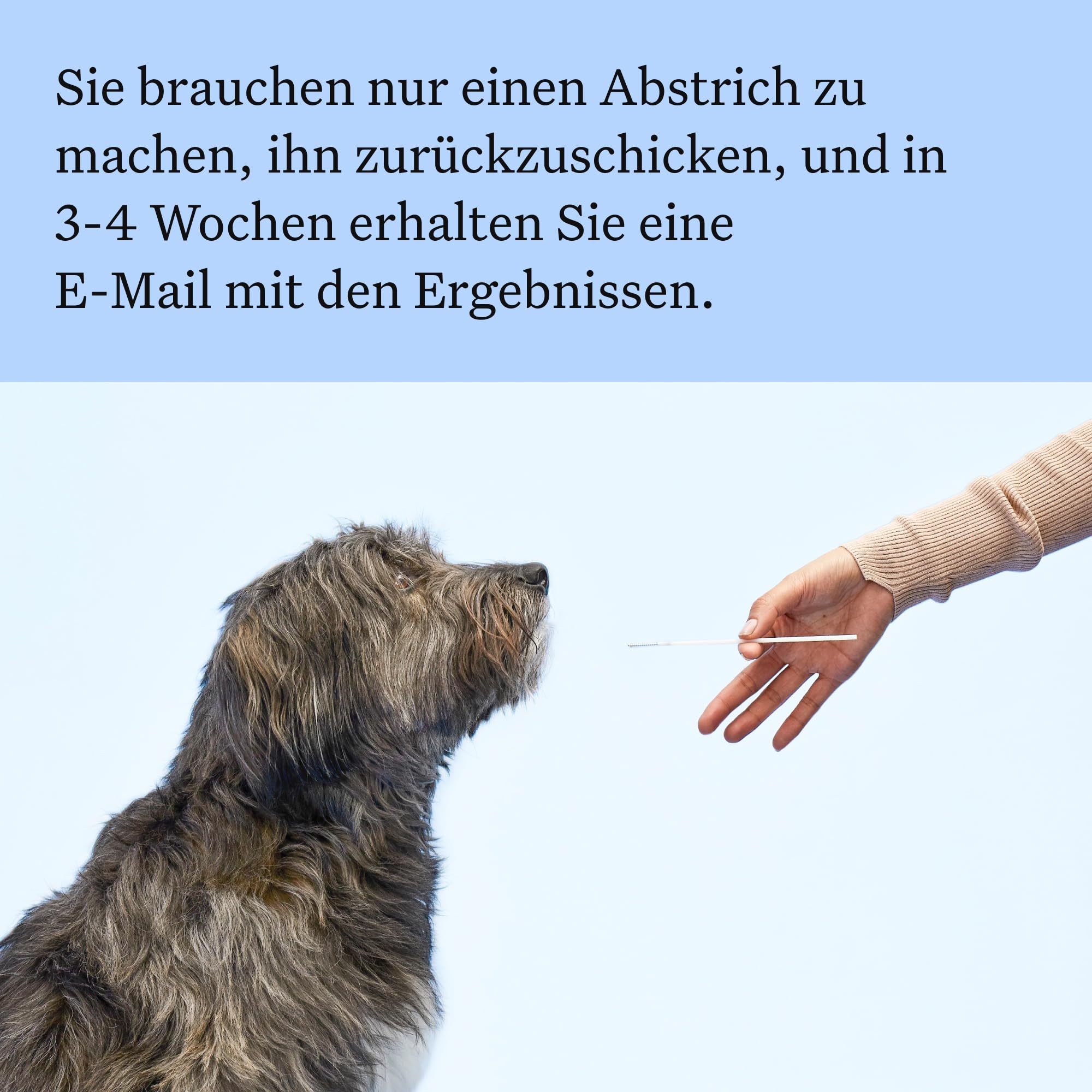 Wisdom Panel zur Feststellung von Hunderassen DNA-Test-Kit – präzise Rassen-ID MDR1 Abstammung Verwandte