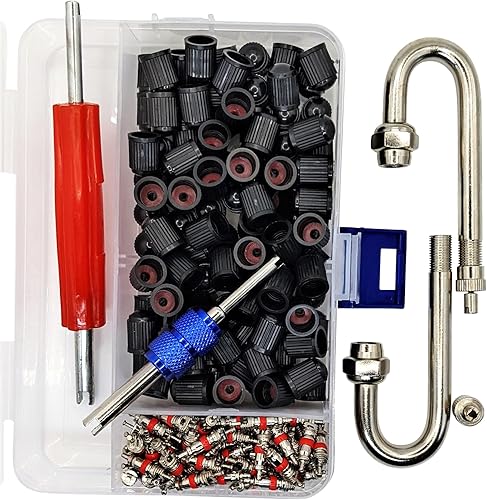 Kit de inversión de vástago de válvula doble - DRW - Acero inoxidable 180 "J" vástago (2) Núcleos (100) Tapas de sellado (100) Tensor de núcleo