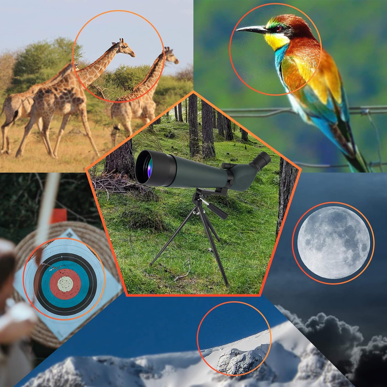 Rеvіеw Dіѕсоunt HD Spotting Scope with Tripod 20-60x80mm Hollee IP67 Waterproof Angled Eyepiece Telescope BAK4 Prism 1000yds for Target Shooting Hunting Astronomy Bird Wildlife Scope Phone Adapter & Bluetooth Clicker