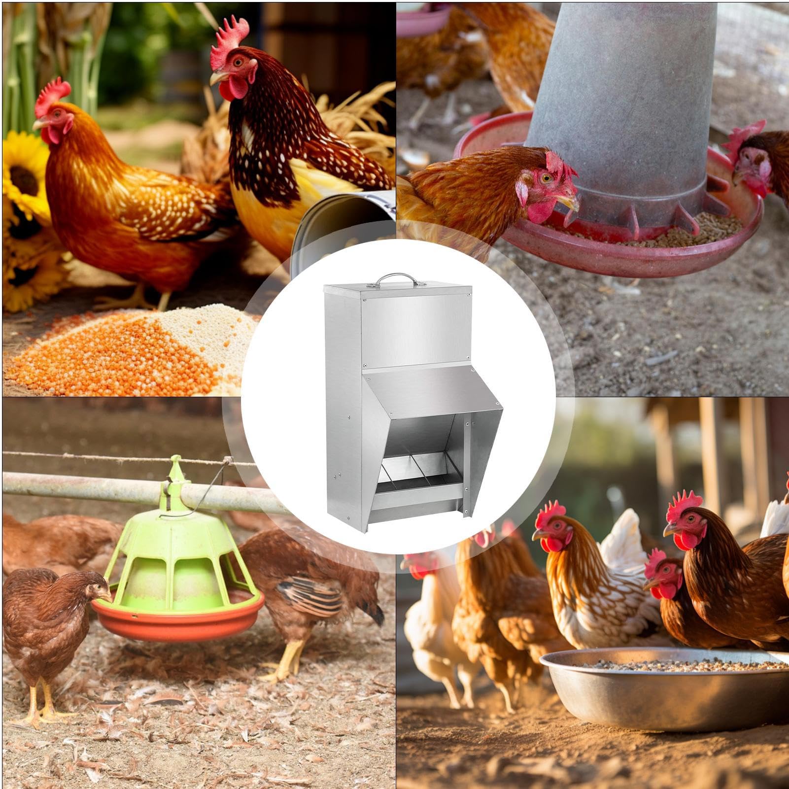 Sin Desperdicio para Pollos Equipo de alimentación para Aves | para patos, antidesperdicio y resistente al clima para patos, gallinas enanas, faisanes, gallineros, exterior y