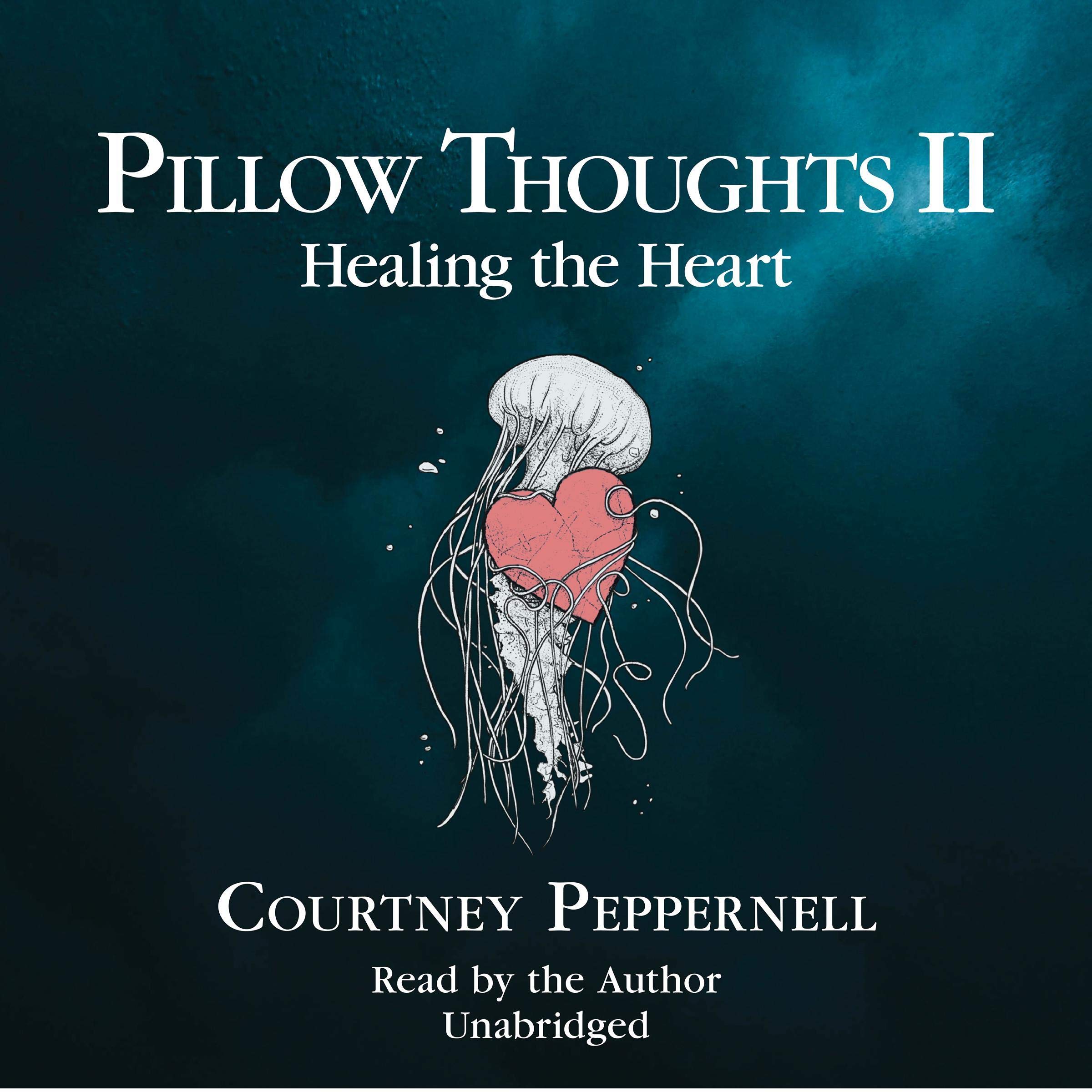 Cover art for Pillow Thoughts II