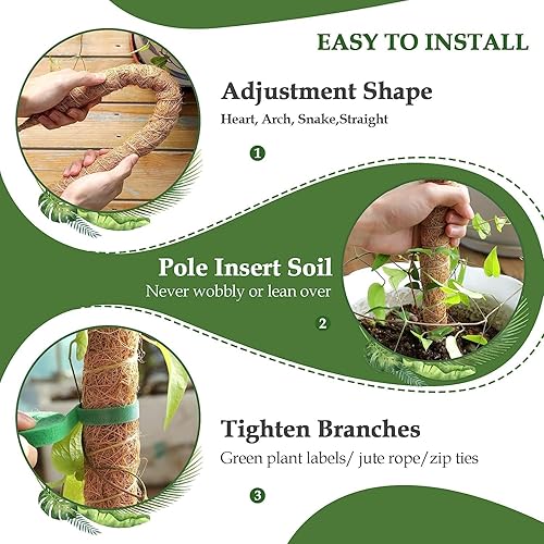 Miniatura 2 de Paquete de 2 postes de musgo para plantas Monstera  Postes de musgo de 25 pulgadas para plantas trepadoras Monstera, estacas de poste de musgo