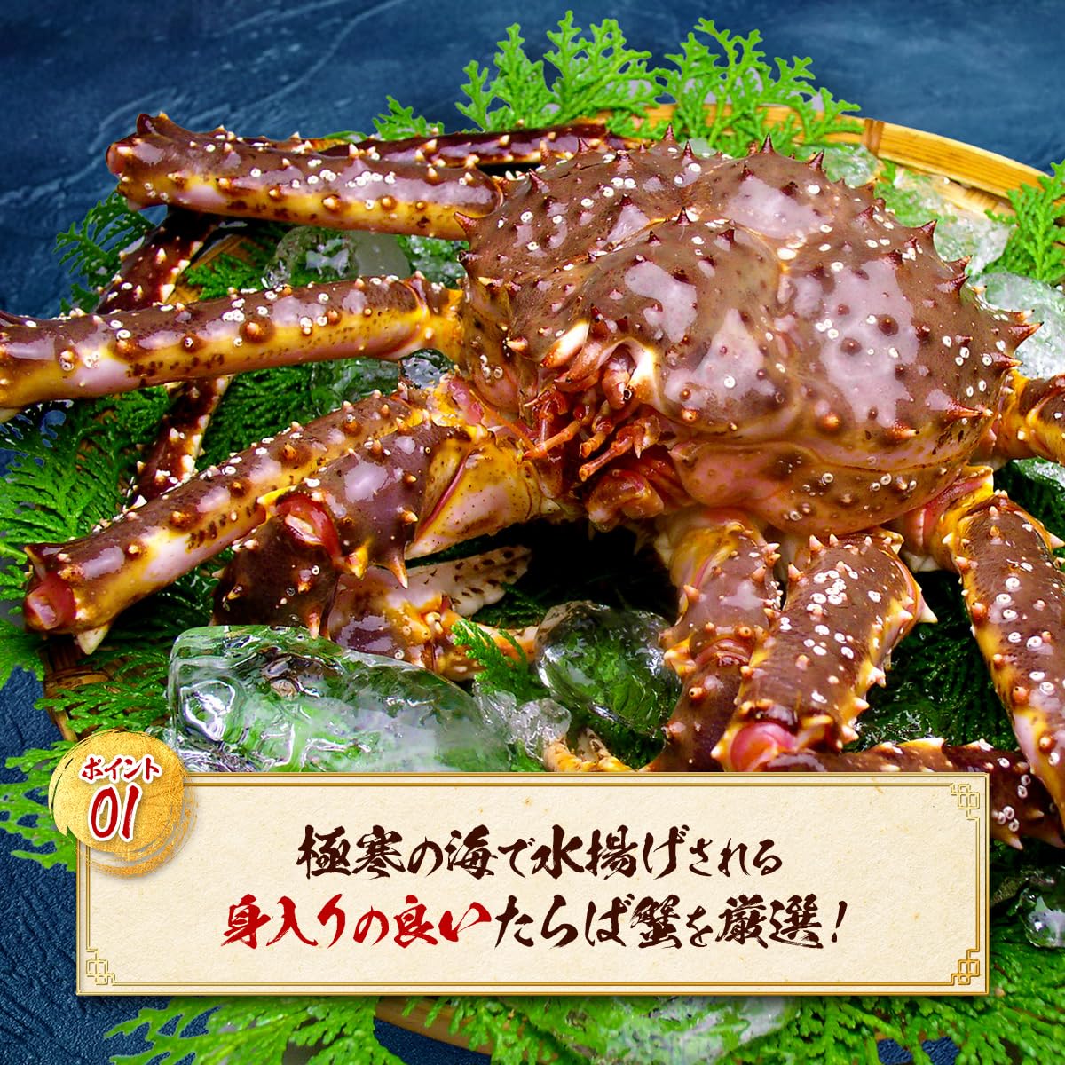 Amazon.co.jp: 【甲羅組】切れ目入りで食べやすい♪ボイルたらばがに