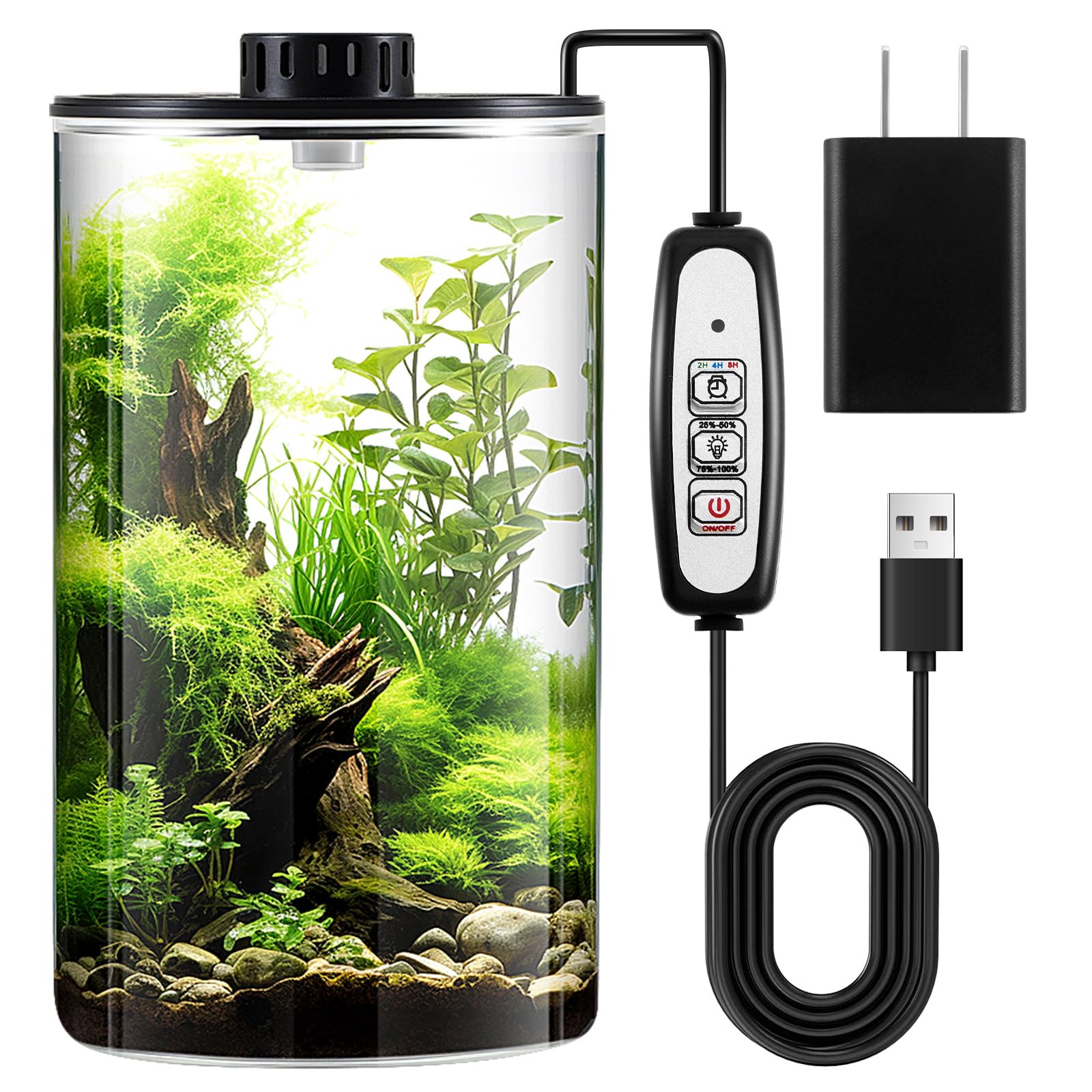 Amazon.com: Maxdot Glass Plant Terrarium Kit with Light for Succulent,  Moss, Miniature Gardening Landscape, Betta Fish Tank, Office Home  Decoration, Plant Lovers Gifts(9.8 x 5.9 Inch) : Patio, Lawn & Garden