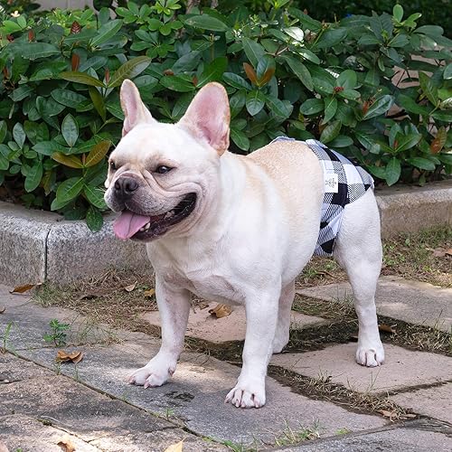 Miniatura 6 de CuteBone Pañales lavables para perras, paquete de 3 pantalones de entrenamiento para cachorros WWD01XL