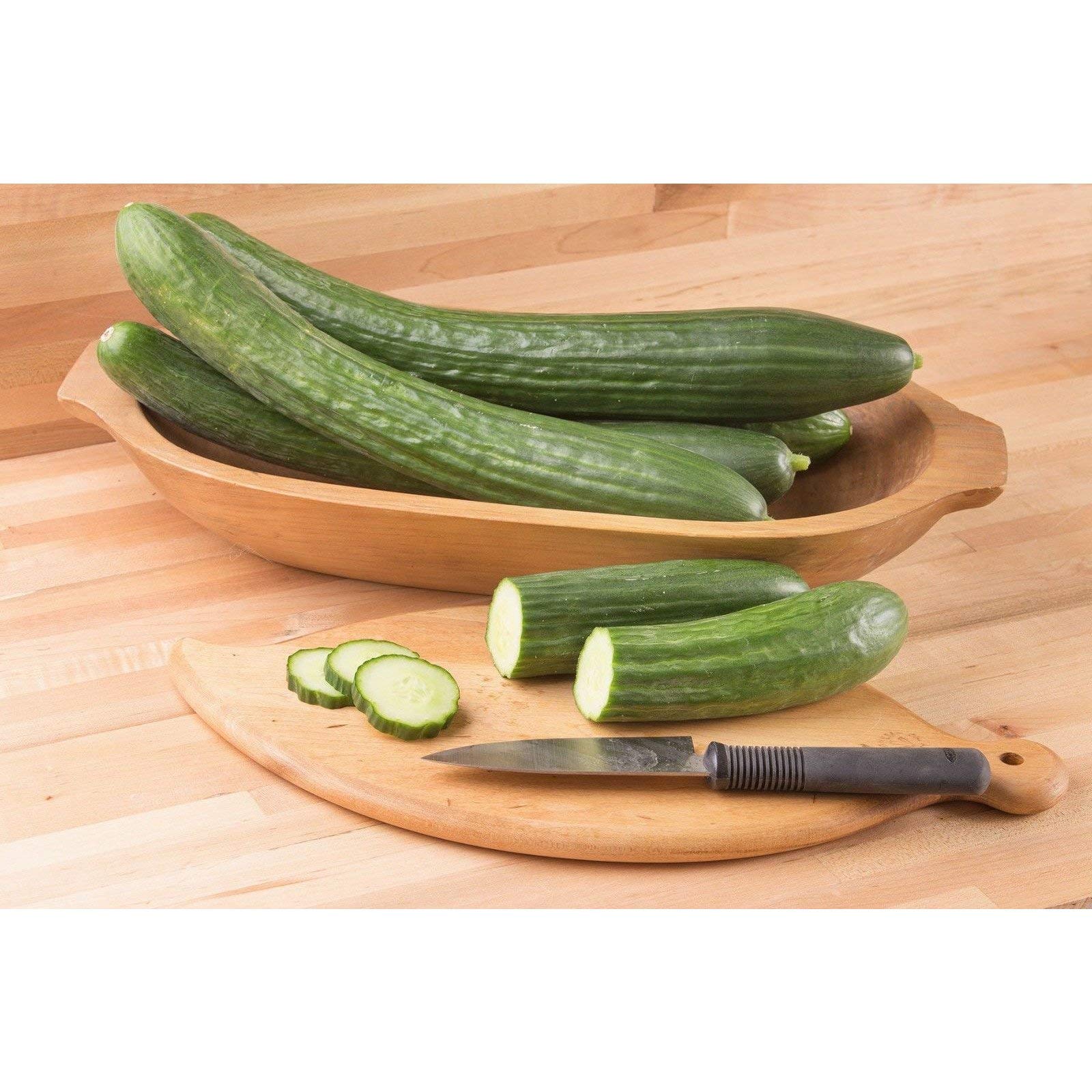 Japanese Long Burpless Cucumber Seeds - Sooyow Nishiki Green Non-GMO (10 - Seeds)